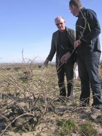 Oz meets his old vine match